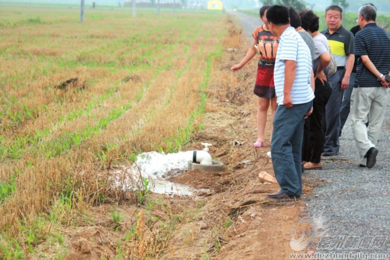 小農(nóng)水出水口遍布田間地頭