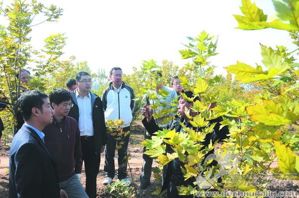 學員們來到苗圃基地，聽合作社理事長楊玉池（右一）講解剪枝方法。